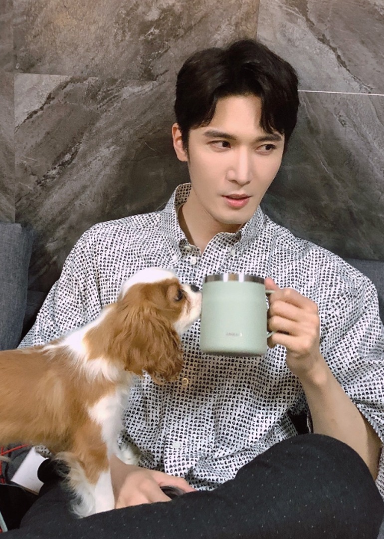 知春路49号宠物店封面图