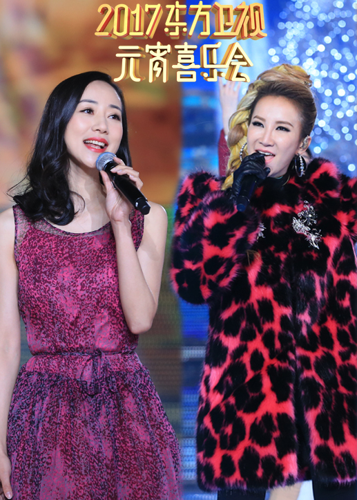 2017东方卫视元宵晚会封面图