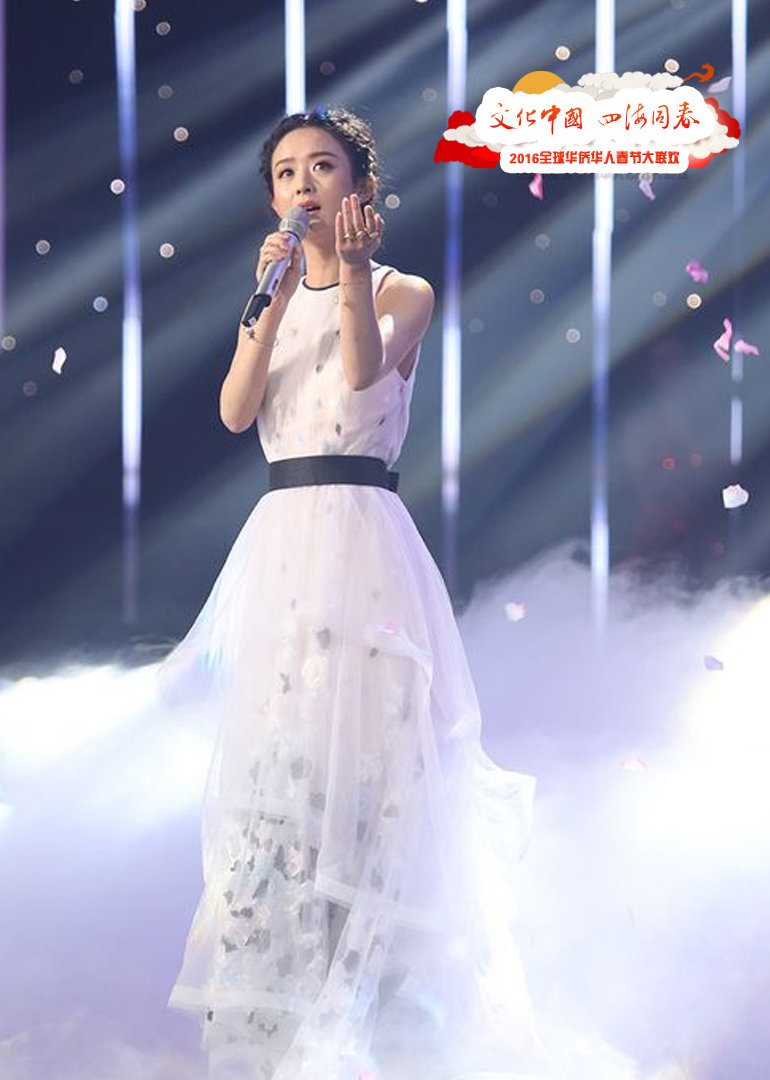 2016华人华侨春晚封面图