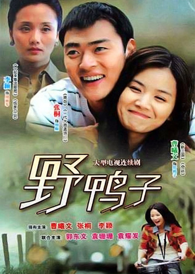 野鸭子封面图