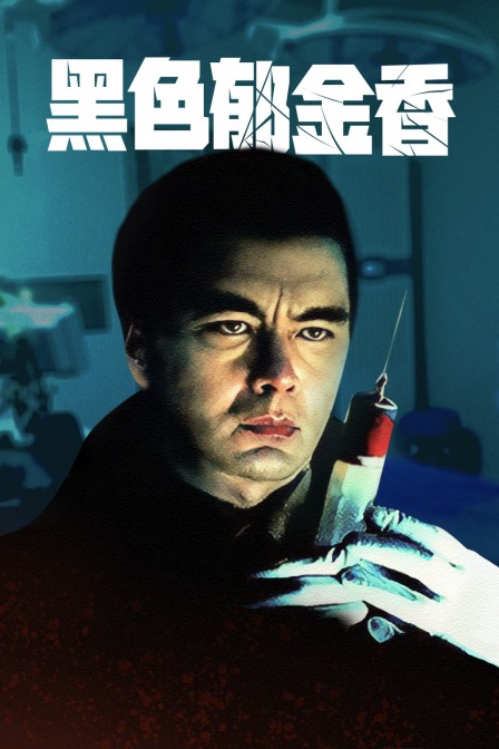 黑色郁金香封面图