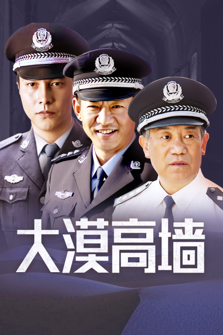 大漠高墙封面图