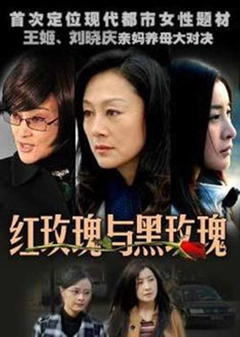 红玫瑰与黑玫瑰封面图