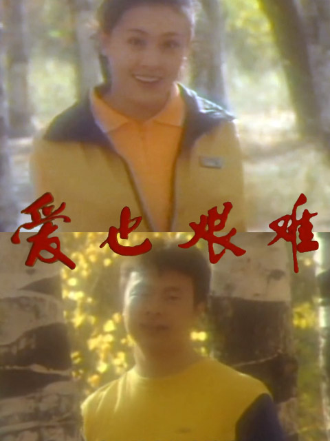 爱也艰难封面图