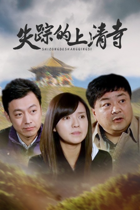 失踪的上清寺封面图