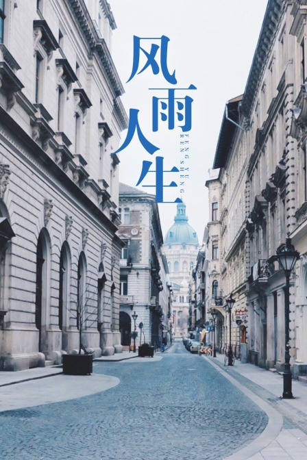 风雨人生封面图