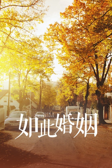 如此婚姻封面图