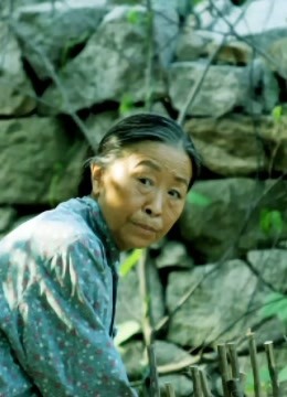 真情错爱封面图