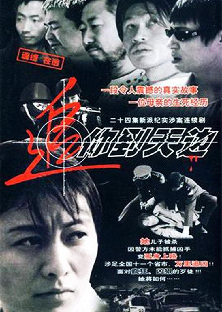 追你到天边封面图