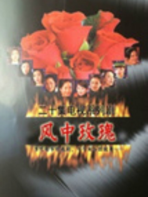 风中玫瑰封面图