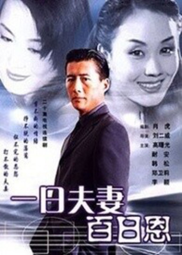 一日夫妻百日恩高曙光版封面图