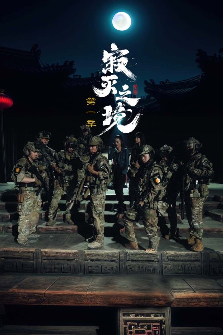 寂灭之境封面图