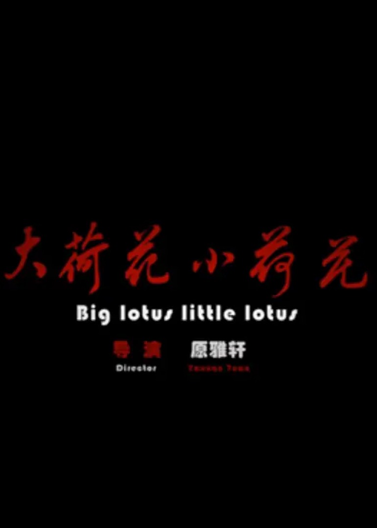 大荷花小荷花封面图