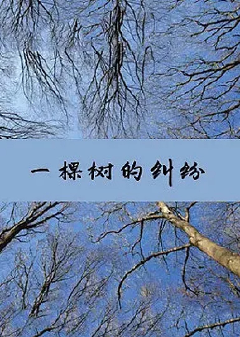 一棵树的纠纷封面图