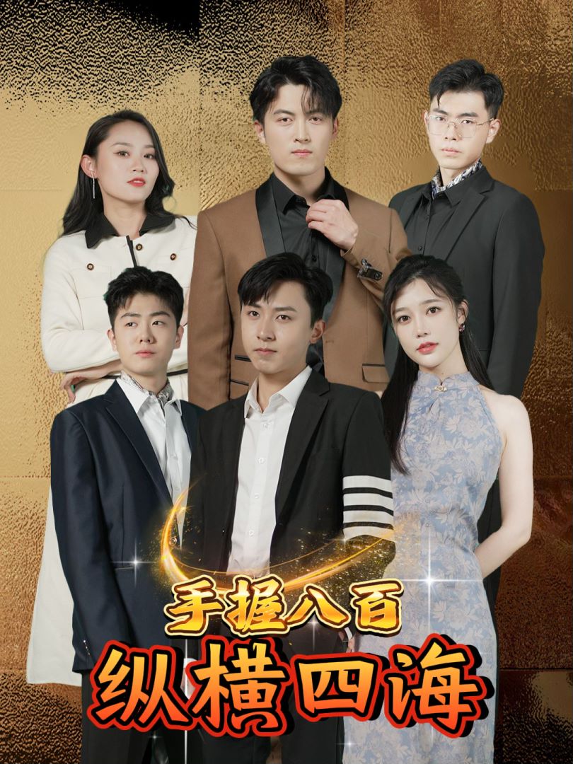 手握八百纵横四海封面图