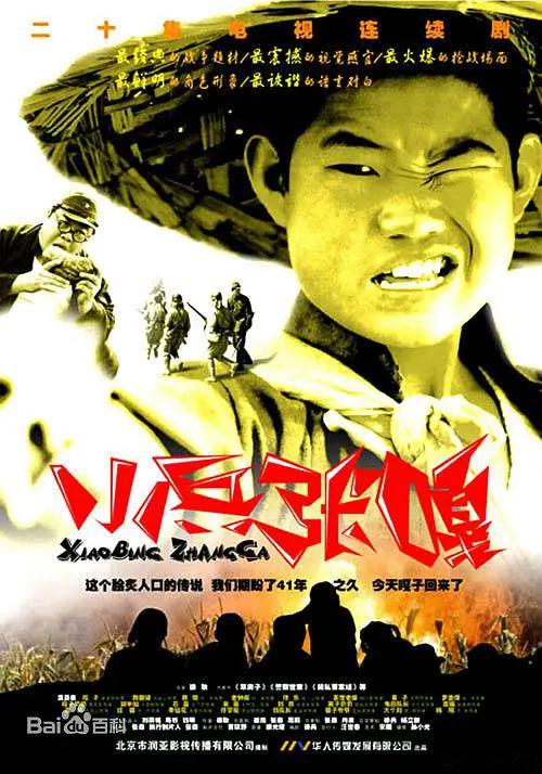 小兵张嘎2004封面图