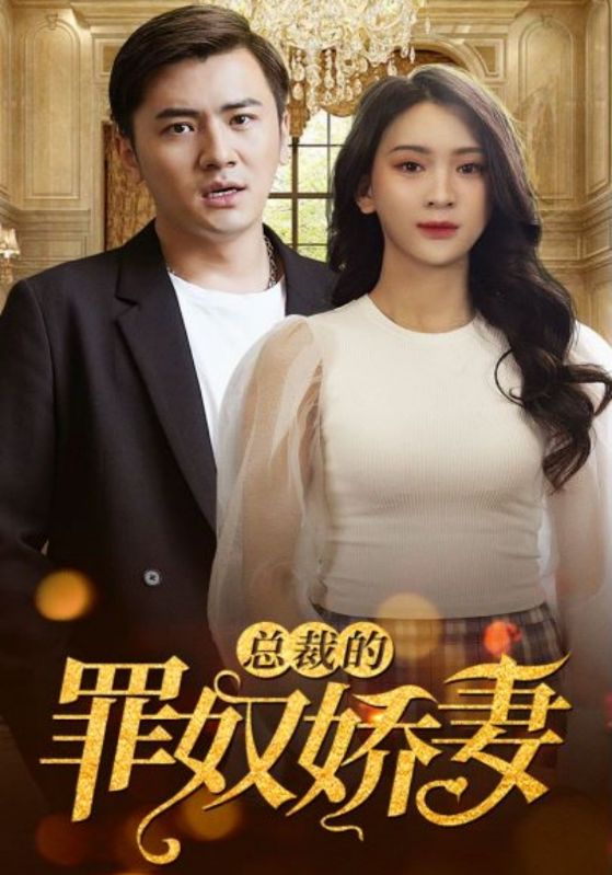 总裁的罪奴娇妻封面图