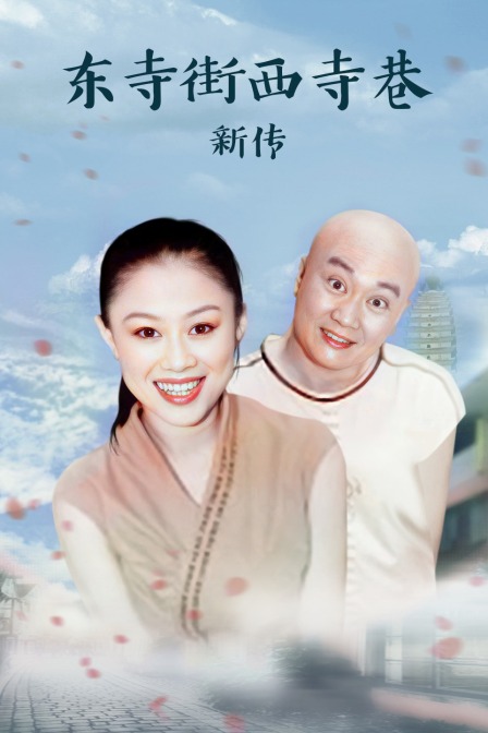 东寺街西寺巷新传封面图