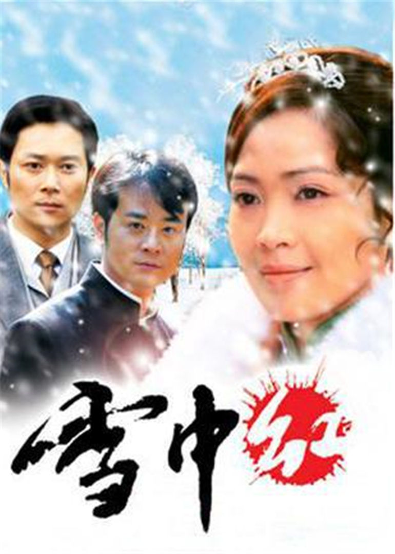 雪中红封面图