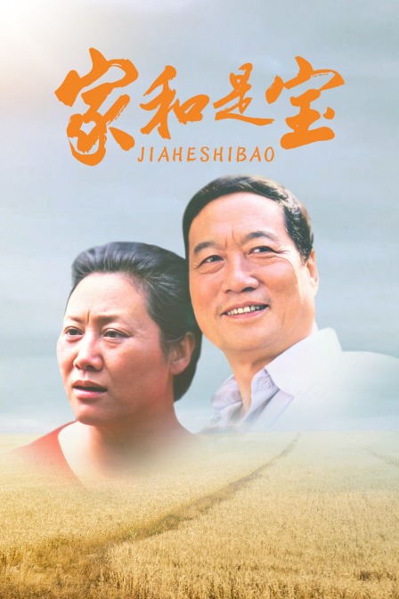 家和是宝封面图