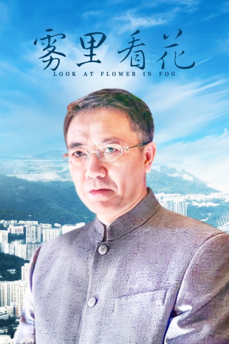 雾里看花封面图