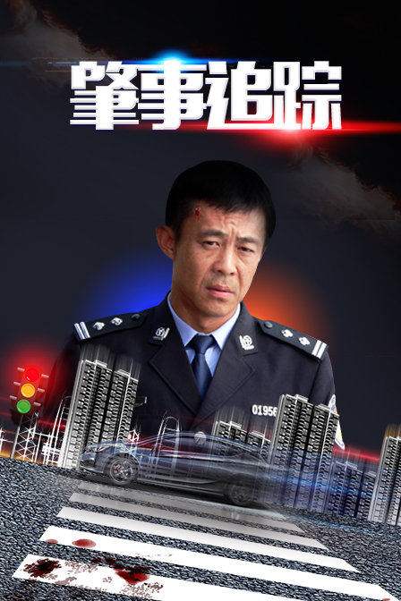 肇事追踪封面图