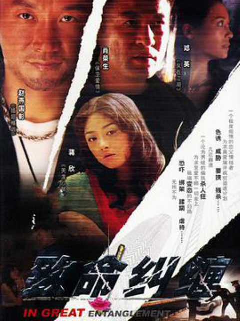 危情杜鹃封面图