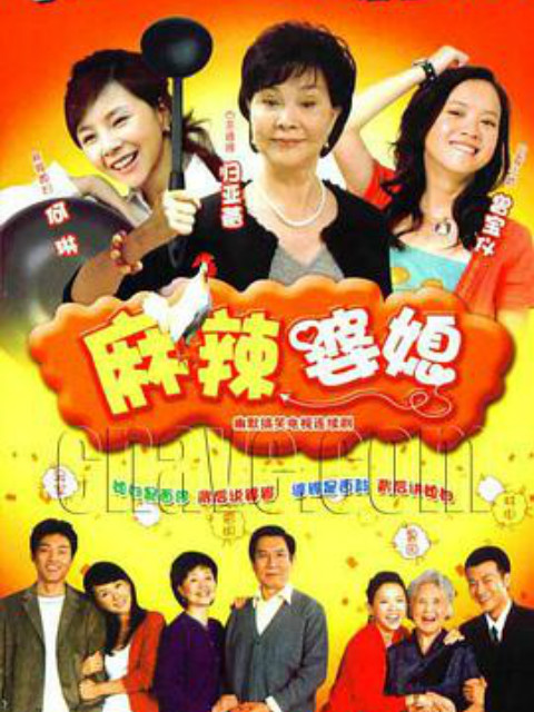 麻辣婆媳封面图