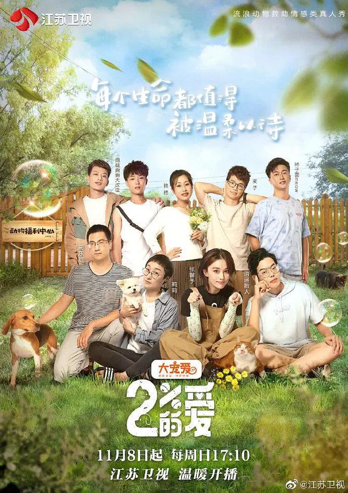 百分之二的爱封面图