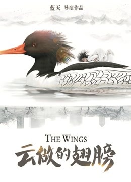 云做的翅膀封面图