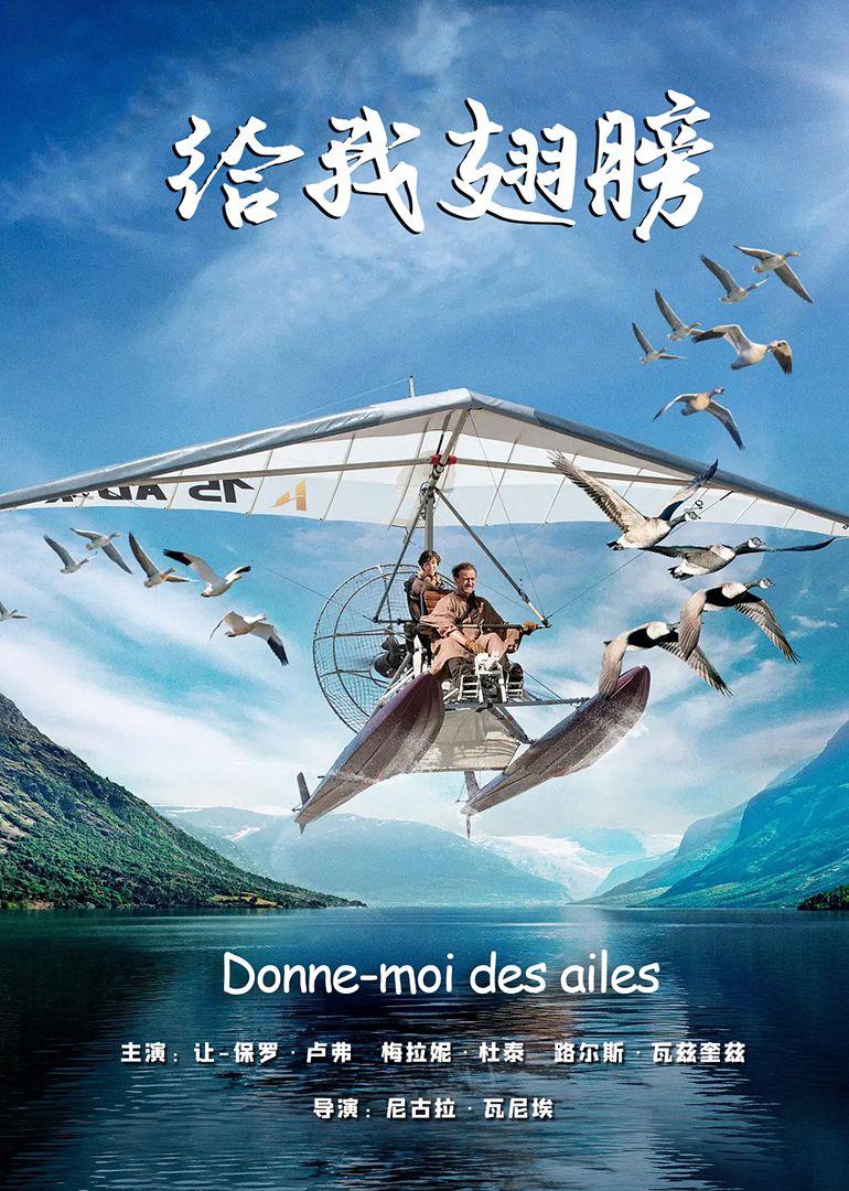 给我翅膀封面图