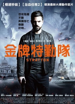 金牌特勤队封面图