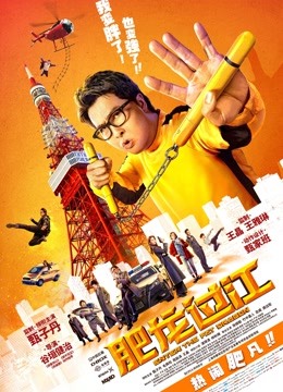 肥龙过江封面图