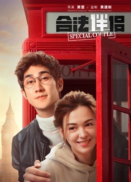 合法伴侣封面图