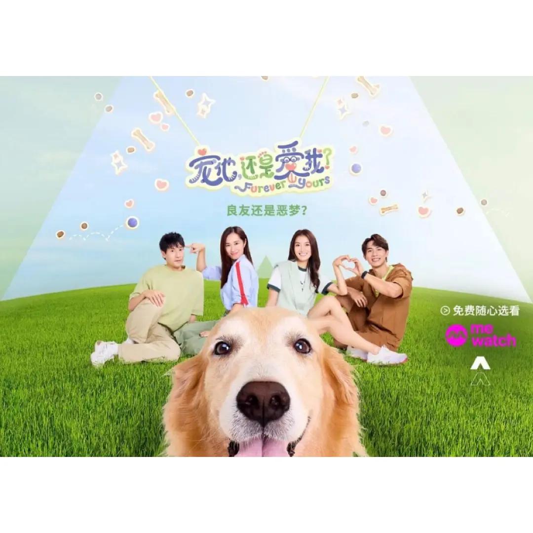 宠他，还是爱我？封面图