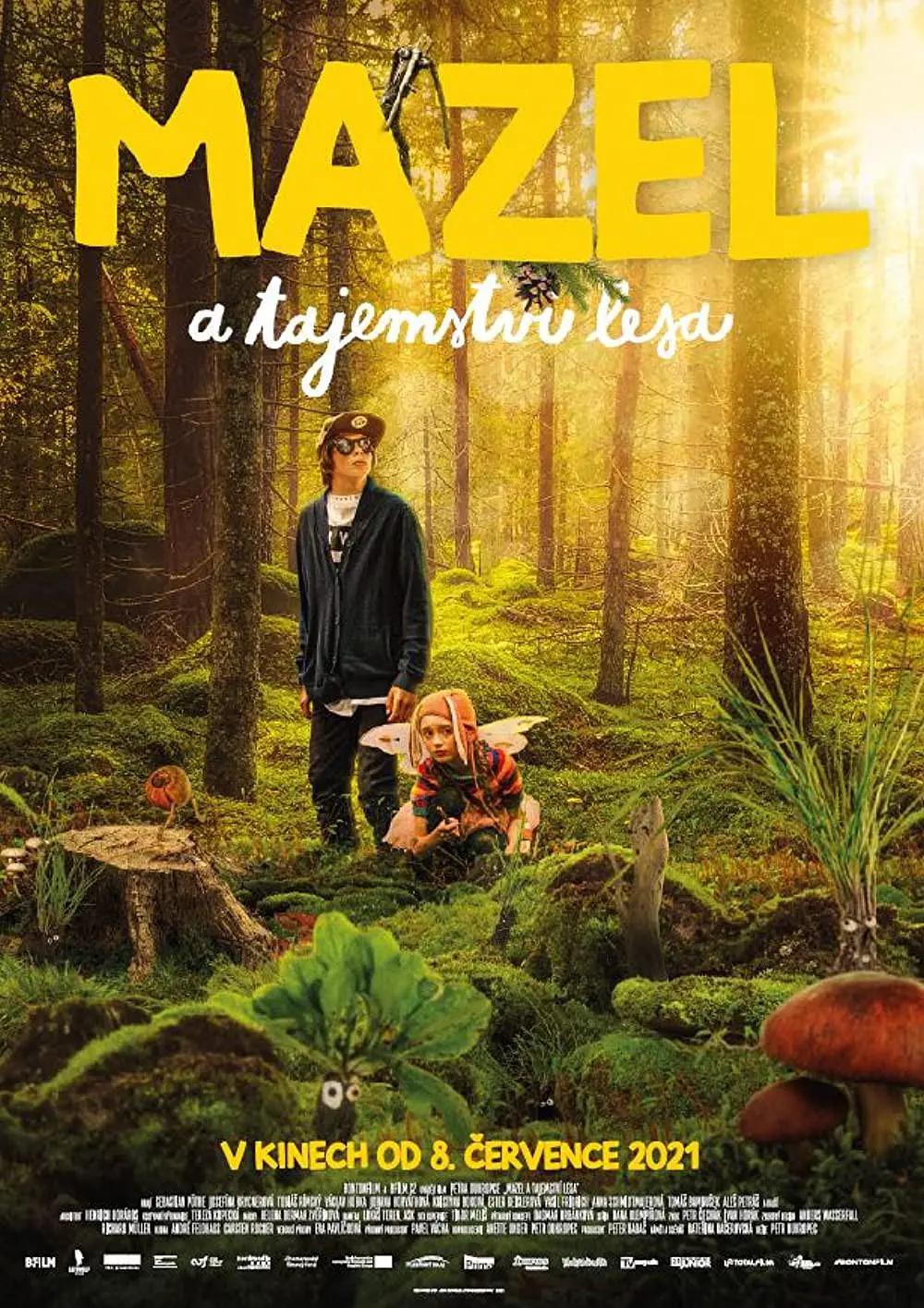 关机夏令营封面图