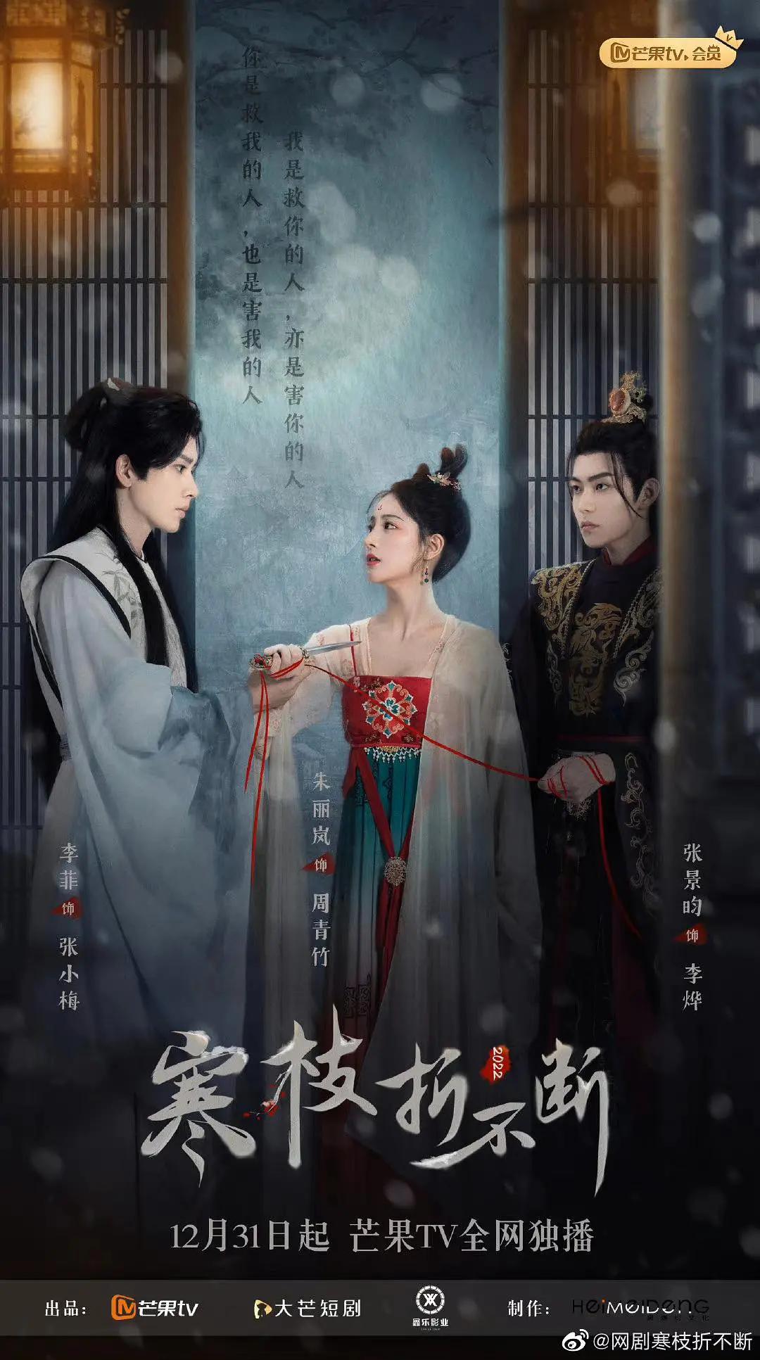 寒枝折不断封面图