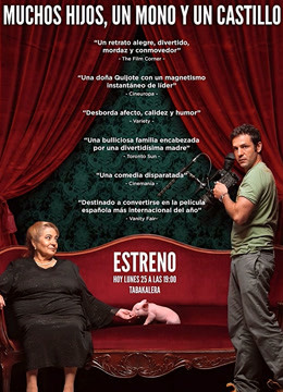 宝藏女王封面图