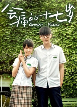 会痛的十七岁封面图