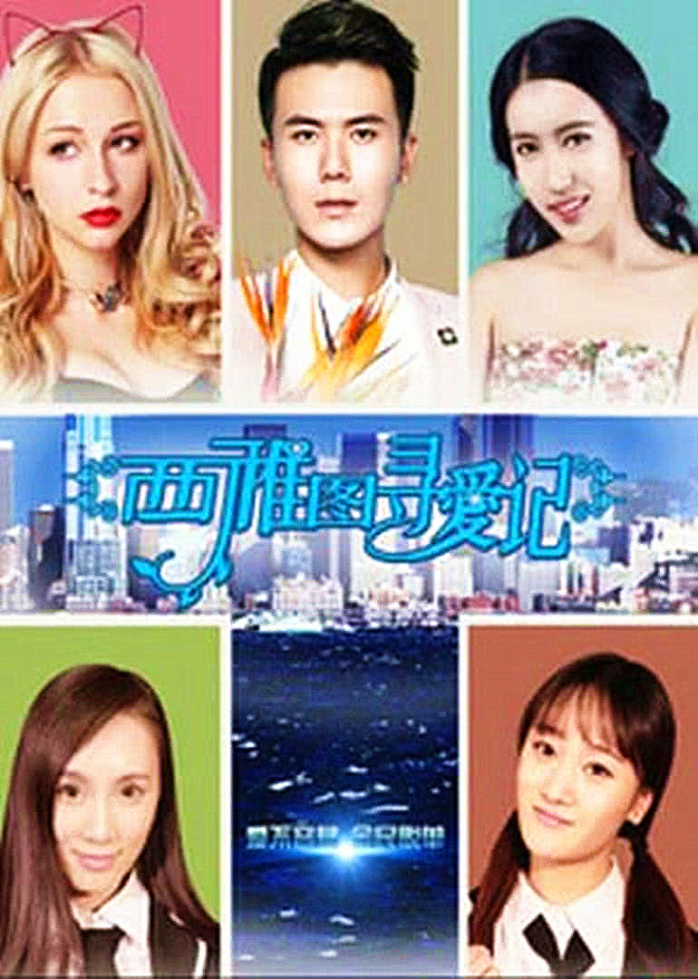 西雅图寻爱记封面图