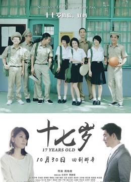 十七岁封面图