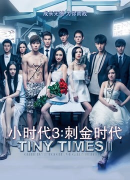 小时代3刺金时代封面图