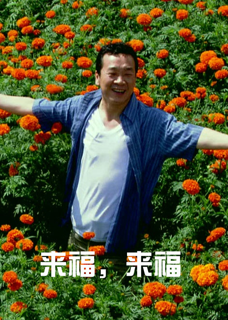 来福来福封面图