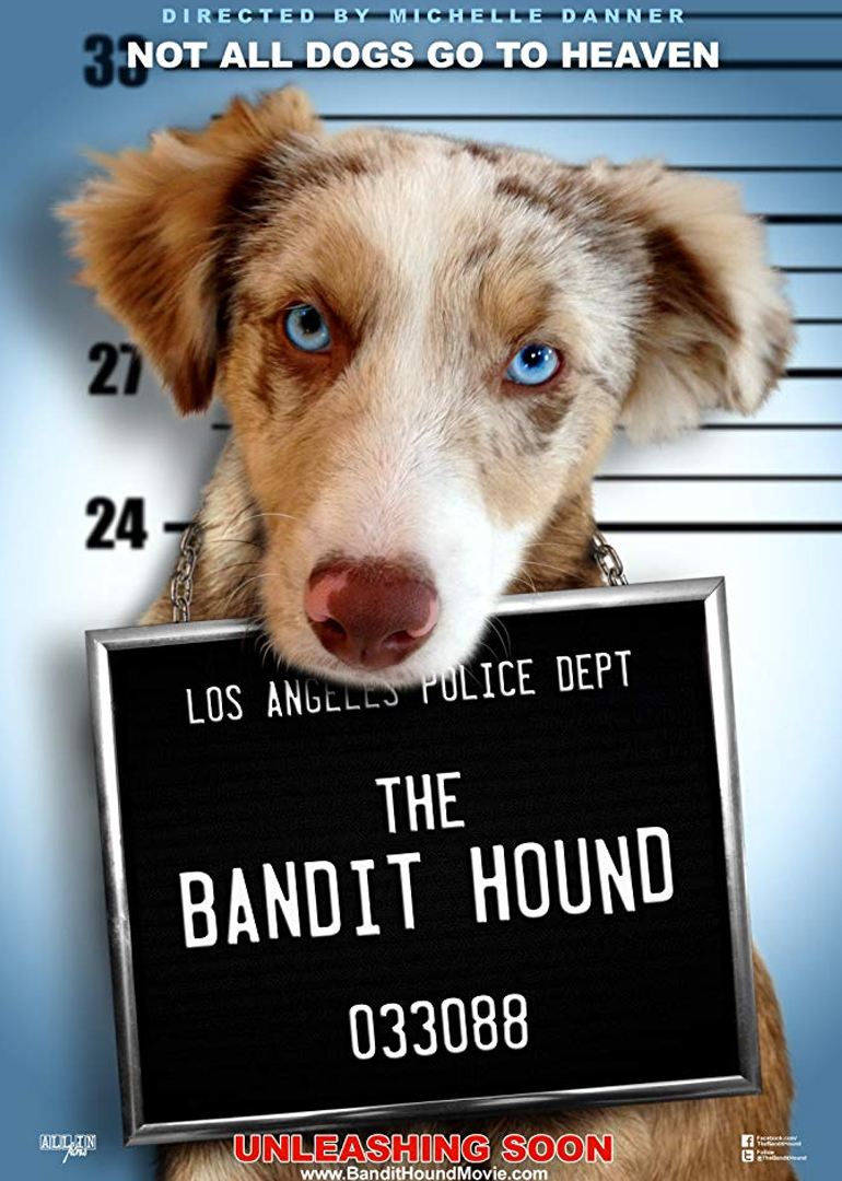 猎犬强盗封面图