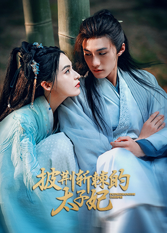 披荆斩棘的太子妃封面图