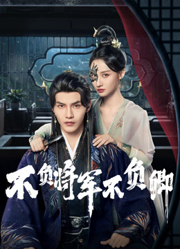 不负将军不负卿封面图