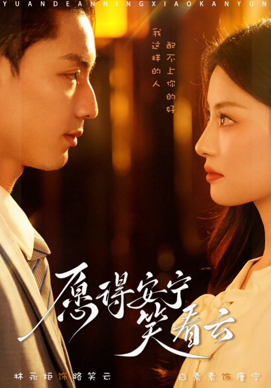 愿得安宁笑看云封面图