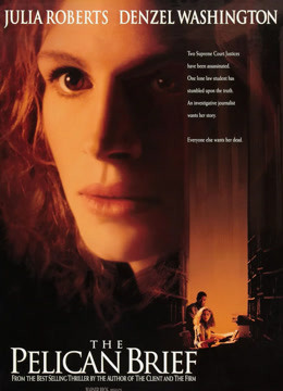 塘鹅暗杀令封面图