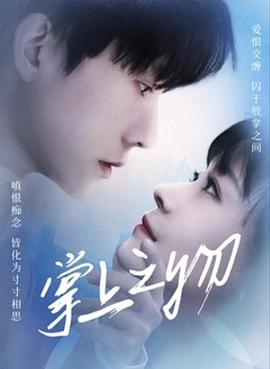 掌上之物封面图