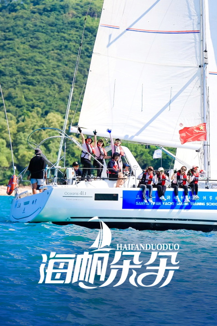 海帆朵朵封面图